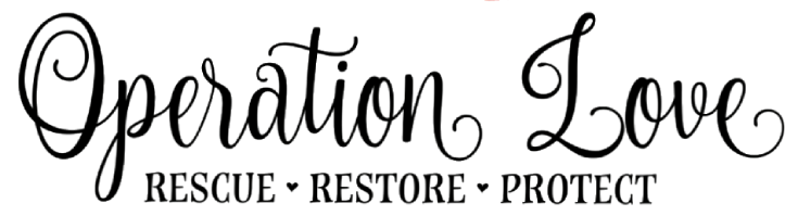 Operation Love Logo